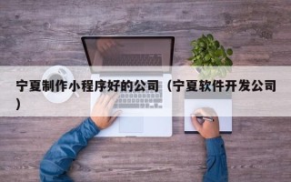 诸暨宁夏制作小程序好的公司（宁夏软件开发公司）